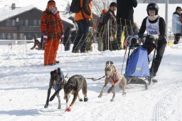 Lenk 2012 SM